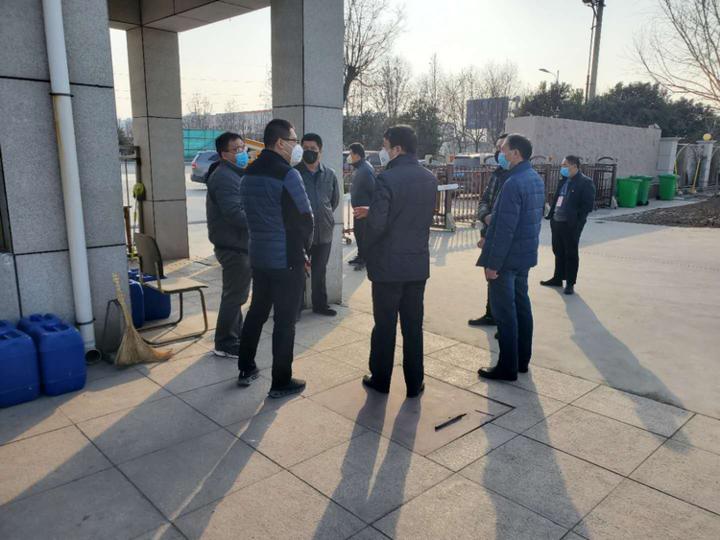 独一无二是什么生肖，积极解释落实