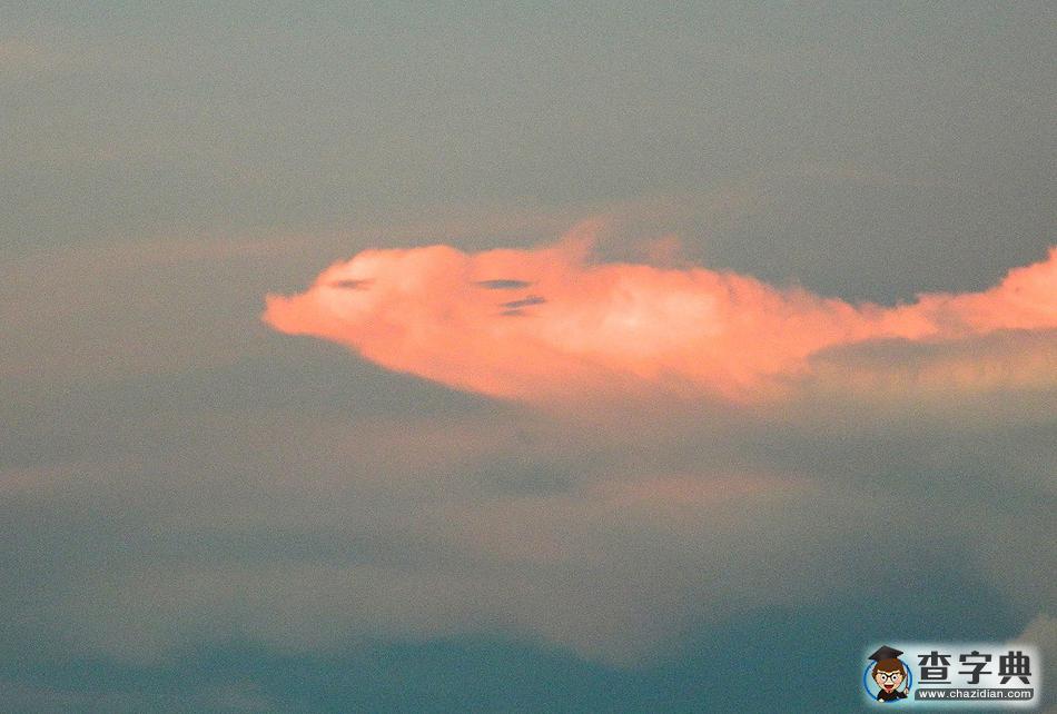 云中漫步—揭秘万里碧空朵朵云背后的神秘动物