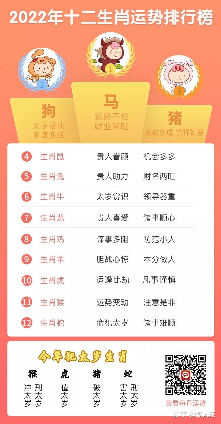 琴肖是什么生肖，揭秘背后的文化寓意