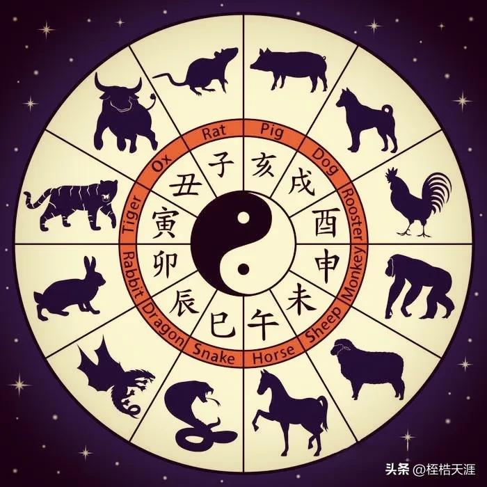 十二生肖中的天地肖，文化热议、深度解释与现代落实