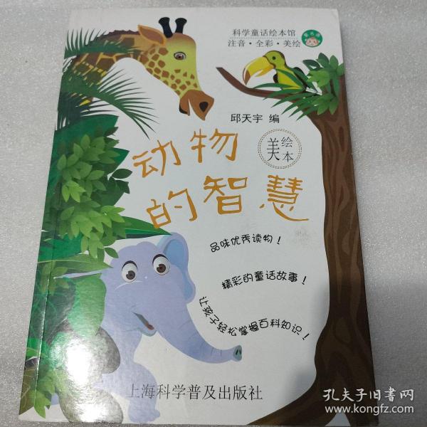 探索重阳节猜生肖，动物智慧与战略运用的奇妙融合