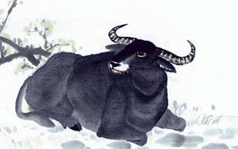 动如脱兔—揭秘生肖中的速度之王