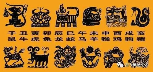 揭秘点石成金背后的生肖奥秘