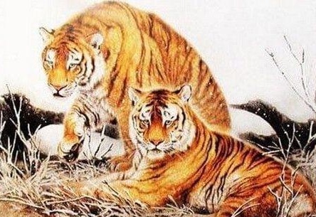 居高临下是指什么生肖，的最快解答落实