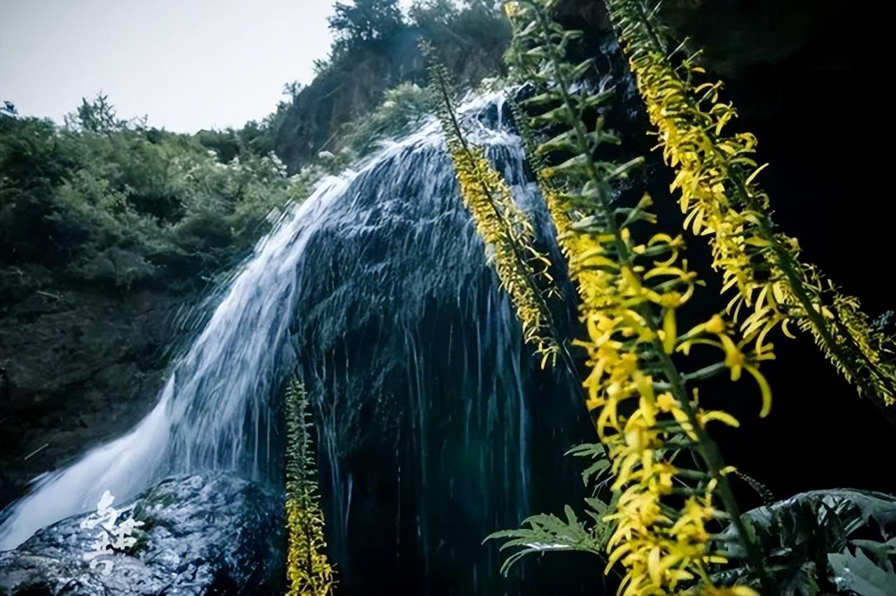 误入迷津猜一生肖，绝佳解释落实