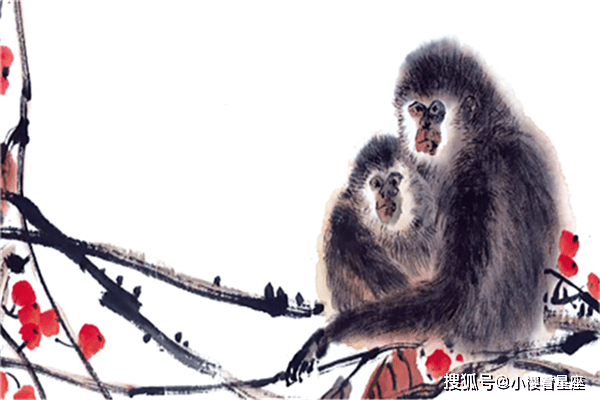 虎猴相会，揭秘生肖之谜