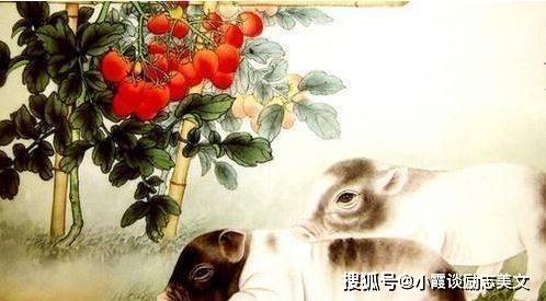 瓜田李下打一正确生肖，详细作答落实解释