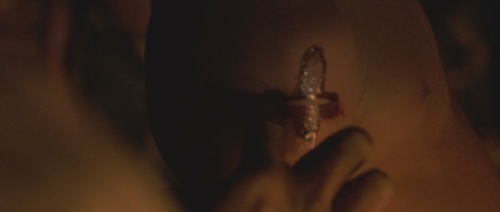 死气沉沉猜一动物，揭秘背后的文化与智慧