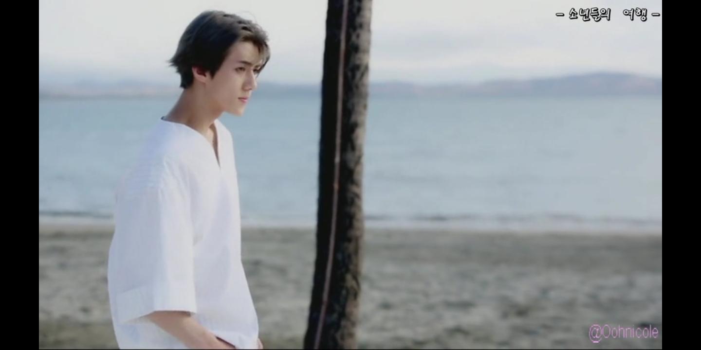 蓝肖与生肖的神秘联系，揭秘哪些生肖属于蓝肖