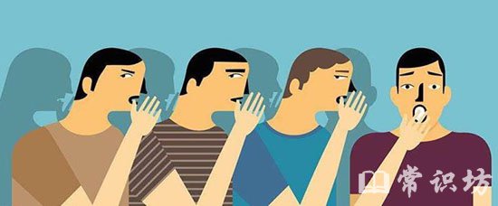 喋喋不休，揭秘生肖背后的故事与寓意