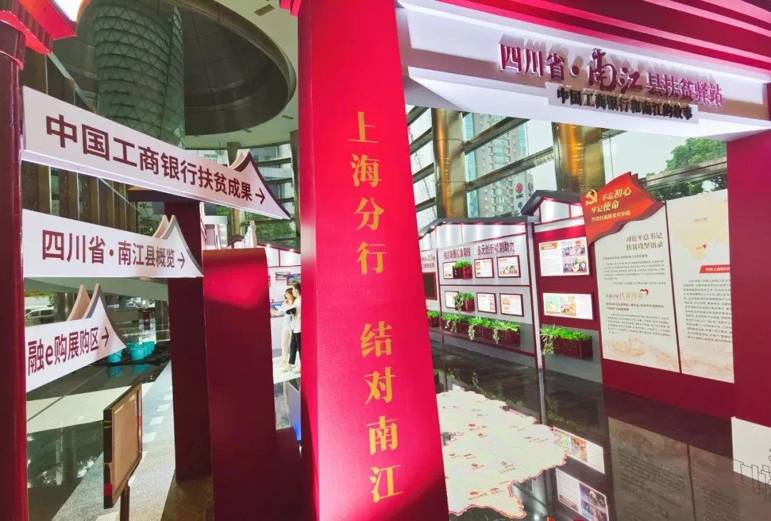 殿字是什么生肖，精选解析与落实的详细结果