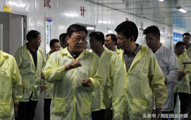 滔滔不绝是指什么生肖，相信作答落实解释