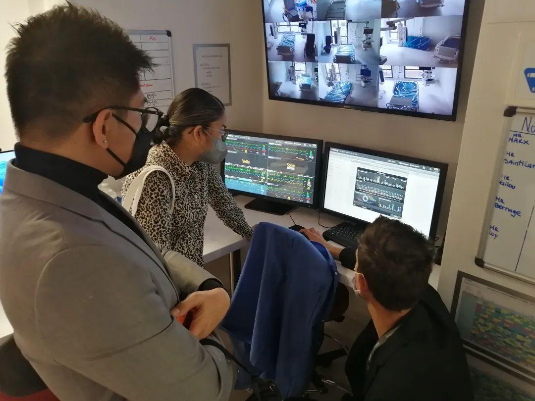 探秘天衣无缝与生肖之谜，一场智慧与趣味的奇妙对话