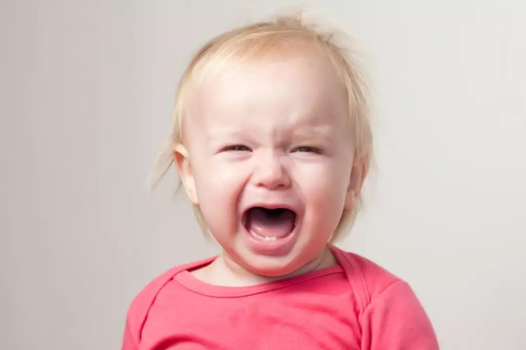 小打小闹中的友爱—揭秘猴子的奇妙世界