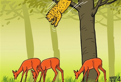 通用解释落实，从发号施令看猜一动物的智慧与哲理