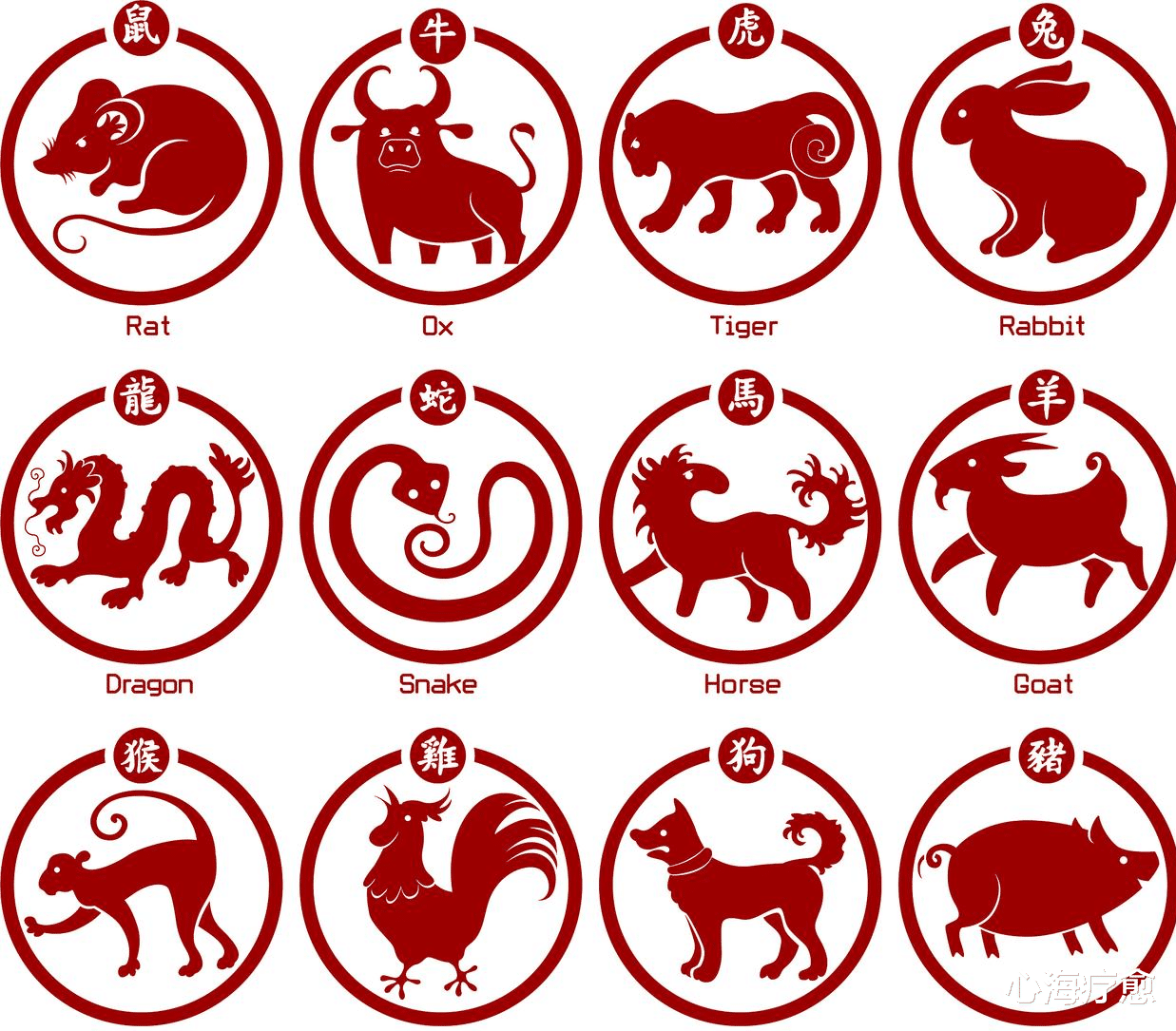 十二生肖分阴阳，的不安分之选