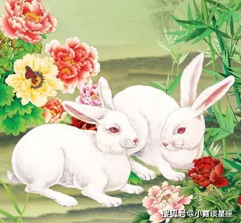 十二生肖最善良的生肖，全面揭晓解释落实