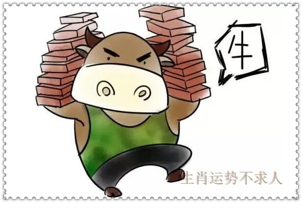 慌不择路打一正确生肖，神秘解释落实