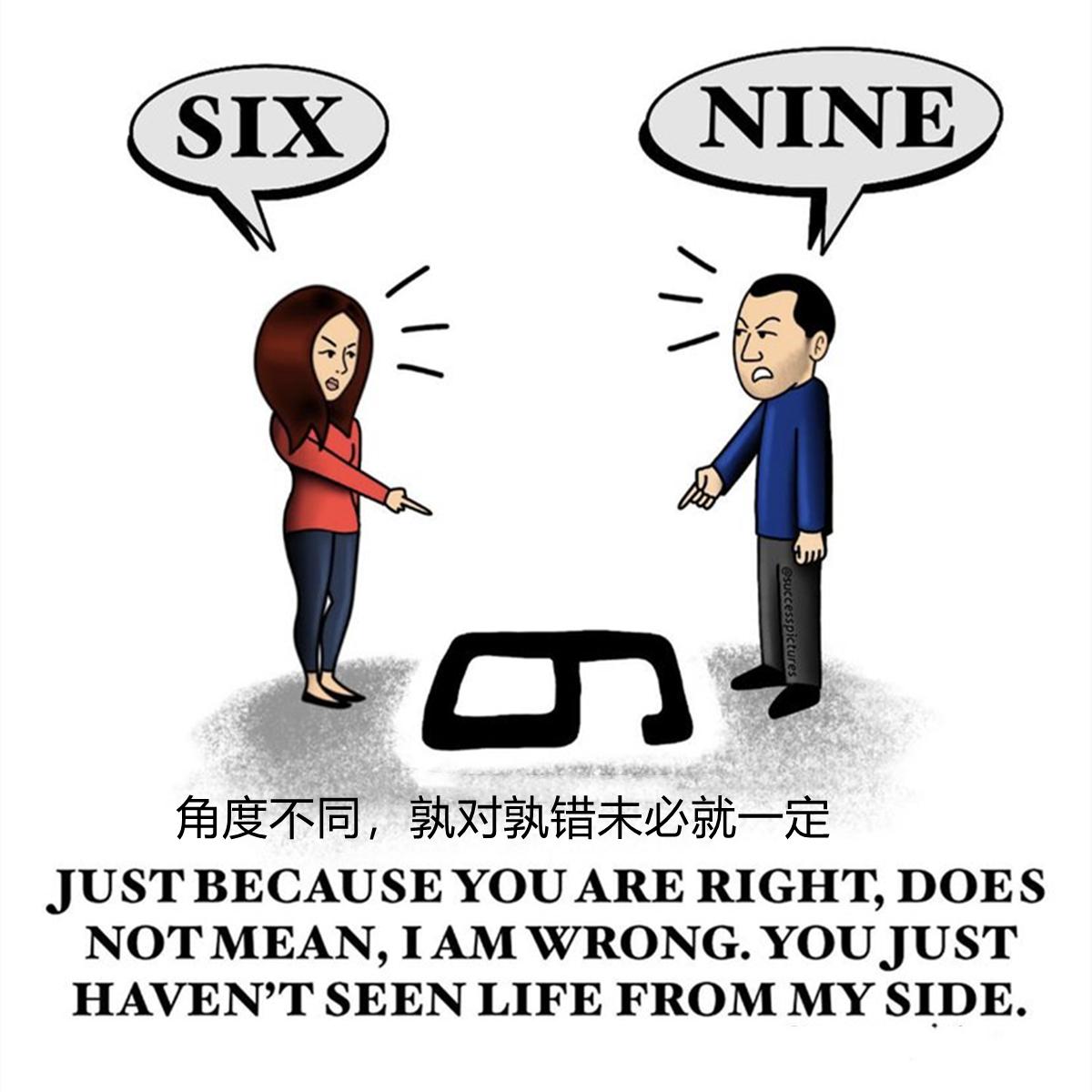 举国上下猜一动物，寓教于乐中的智慧与哲理