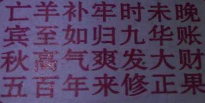 隐隐约约猜一生肖，社会进步与文化解析的微妙交织