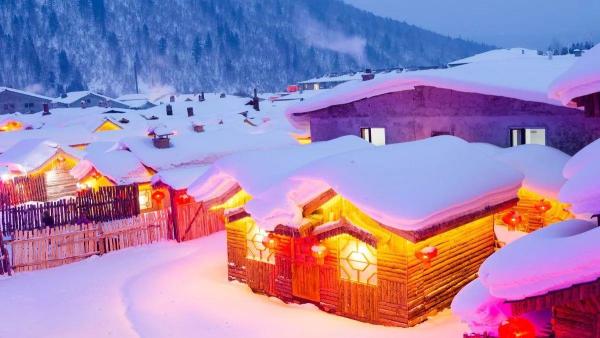 阳光照耀大地暖，猜一动物—揭秘阳光鼠的奥秘