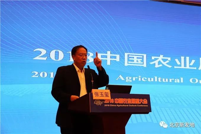 揭秘献计献策背后的生肖谜题