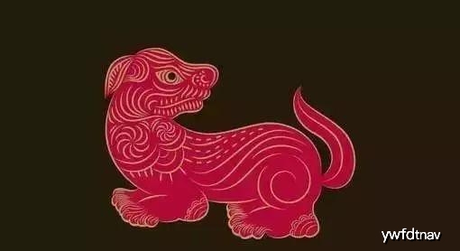 休戚与共，生肖鼠的智慧与担当