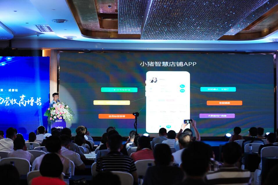 鸟语花香，猜一生肖，智慧与自然的和谐共鸣