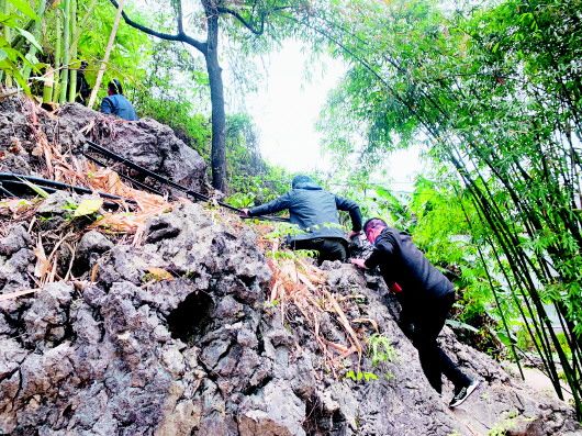 探秘水送山迎之谜，揭秘背后的动物寓意与文化内涵