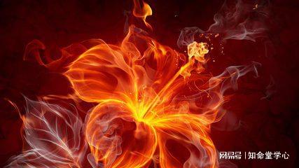 丁火与生肖，揭秘古老智慧中的神秘联系