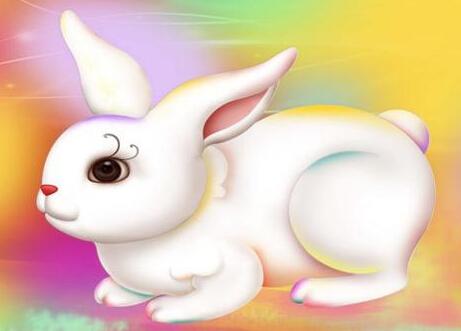 堂堂正正，以诚立身—揭秘堂堂正正打一正确生肖的深层含义与人生启示