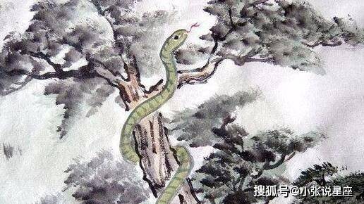 攀高枝儿猜一生肖，专业作答落实解释