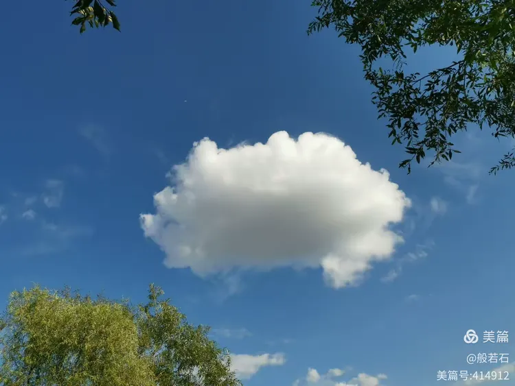 云散云聚是指什么生肖，深度解析与智慧思考