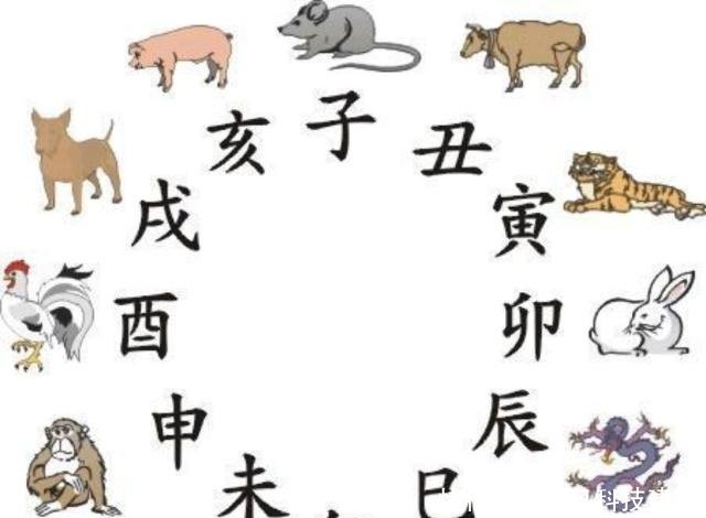 十二生肖的代名，绝佳解释落实
