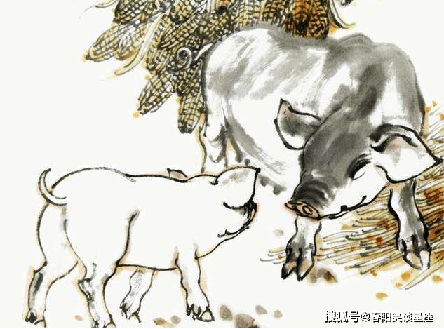 坐立不安的生肖，新型作答落实解释