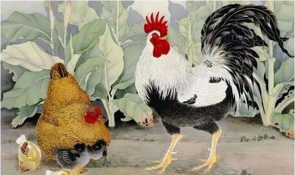 属鸡的三合生肖，词语的深层释义与文化解读