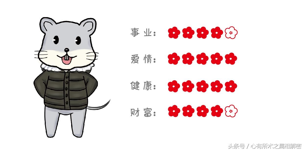 耍两面派，揭秘打一正确生肖的绝佳解释与落实