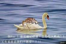 如鱼得水猜一动物?定量解释落实