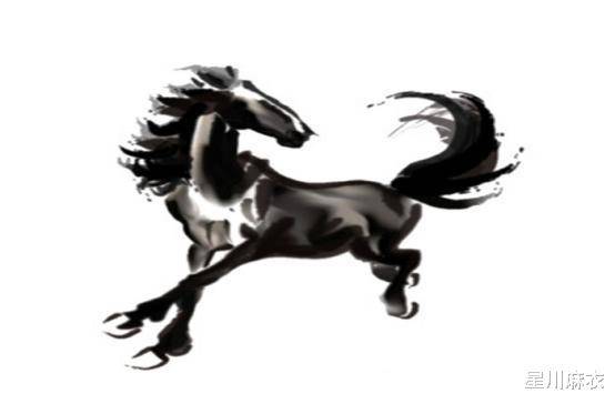 鸡跑马非义打一生肖，结论作答落实解释