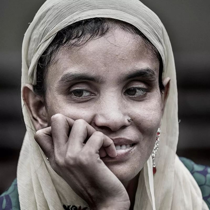 目光如豆，探寻生肖背后的智慧与寓意