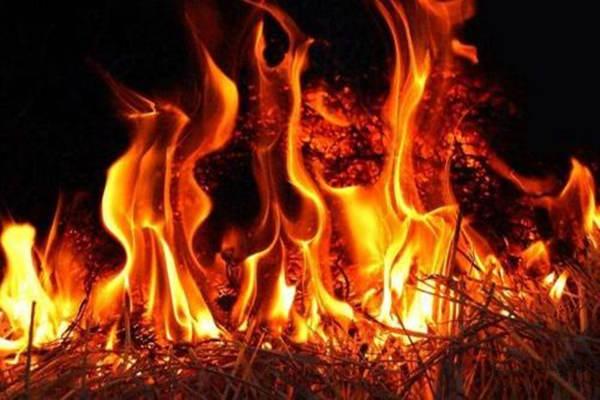 丁火与生肖，揭秘古老智慧中的神秘联系