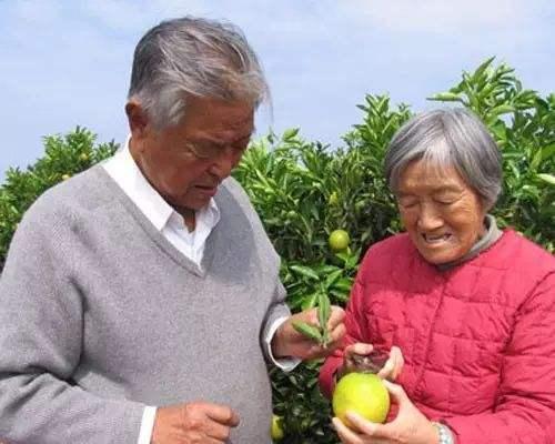 吉人天相好福气指什么生肖，一语中的，全面解析