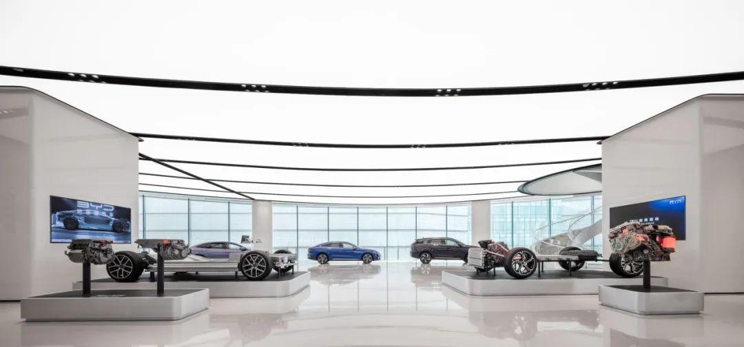 演古劝今，以生肖为镜，启迪未来