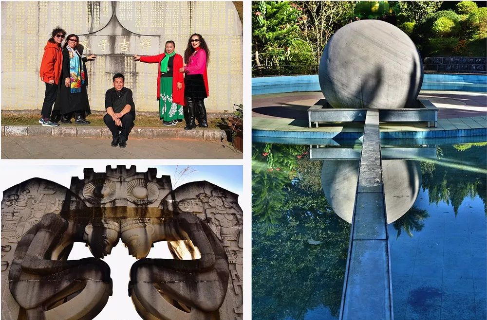 揭秘休戚与共之谜，探寻背后的动物寓意