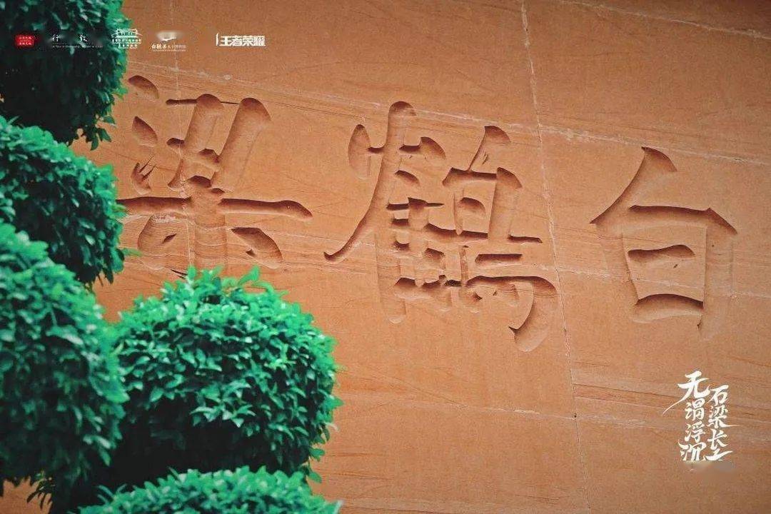 白首无成与生肖之谜,神秘解释背后的文化寓意 白首无成与生肖之谜,神秘解释背后的文化寓意