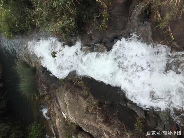 探秘水送山迎之谜，揭秘背后的动物寓意与文化内涵