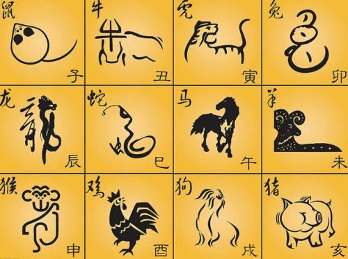 探寻时过境迁背后的生肖奥秘