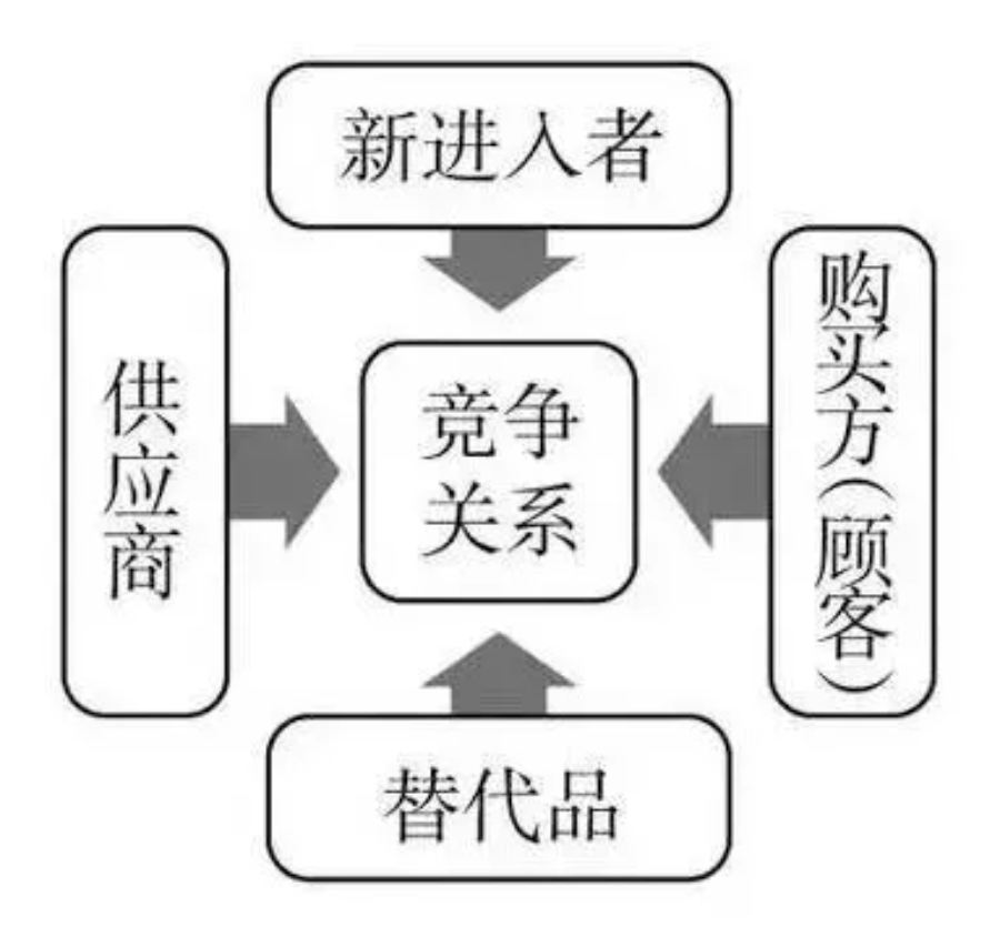 智网之舞，天罗地网中的生肖智慧与战略运用