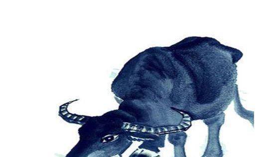 十二生肖中的越老越有福气之谜，生肖的智慧与人生哲学