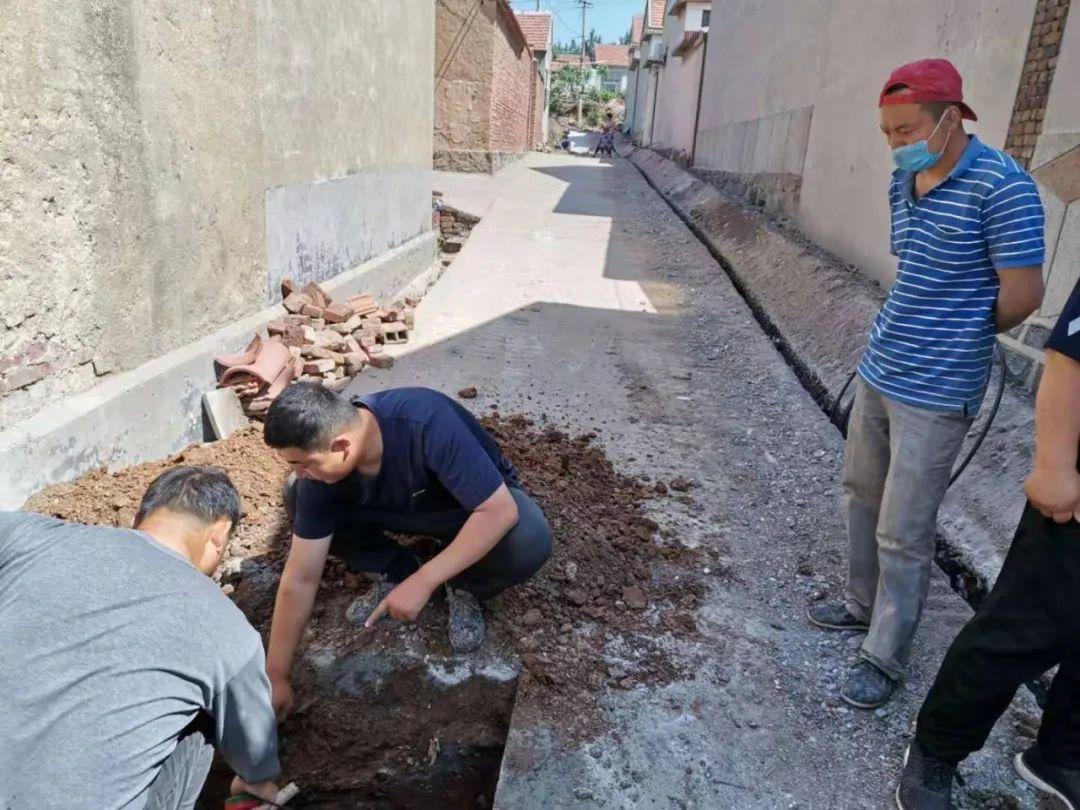 稳扎稳打，生肖动物中的智慧与策略